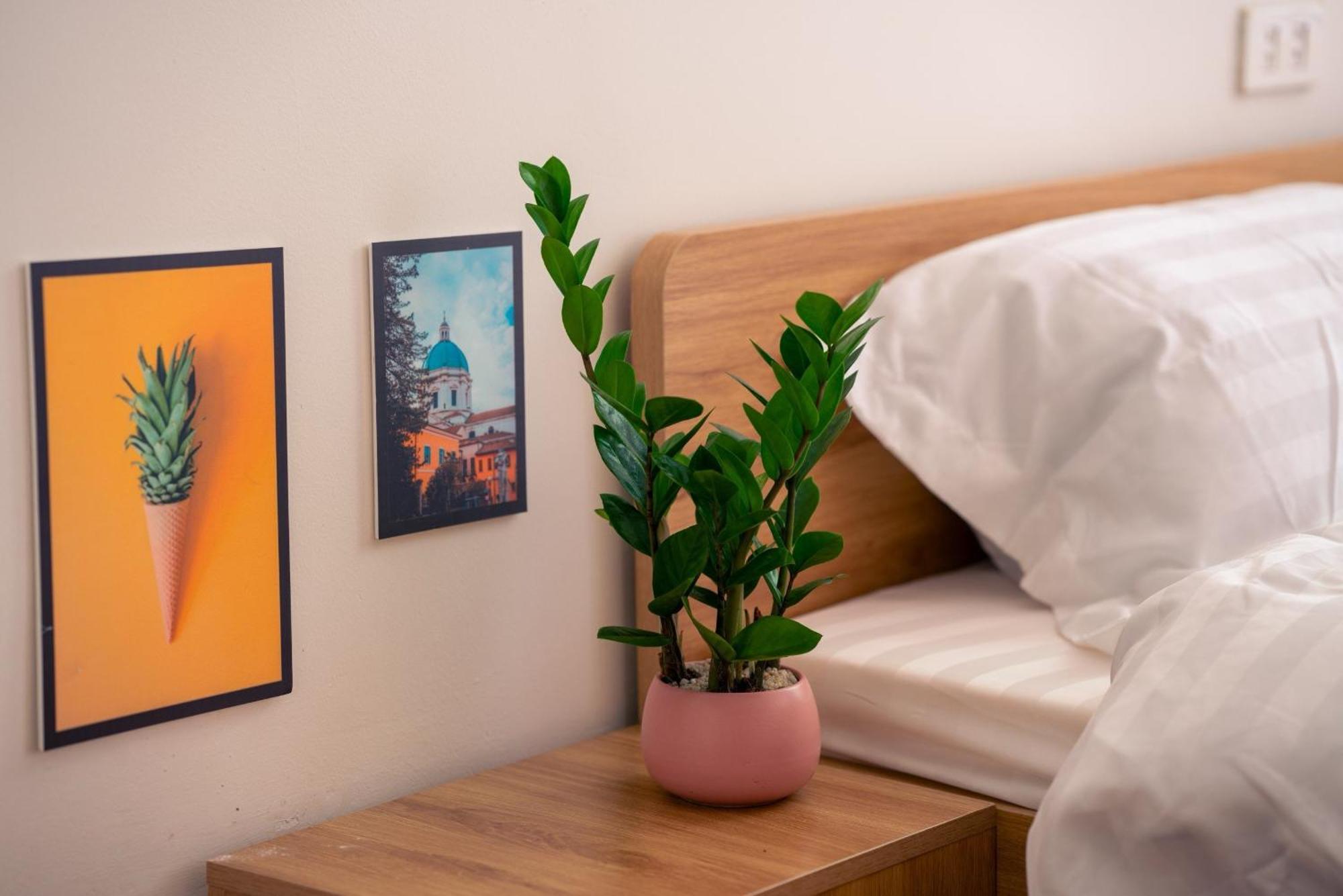 האנוי Luunien Home - Cozy Japandi Styled Room מראה חיצוני תמונה